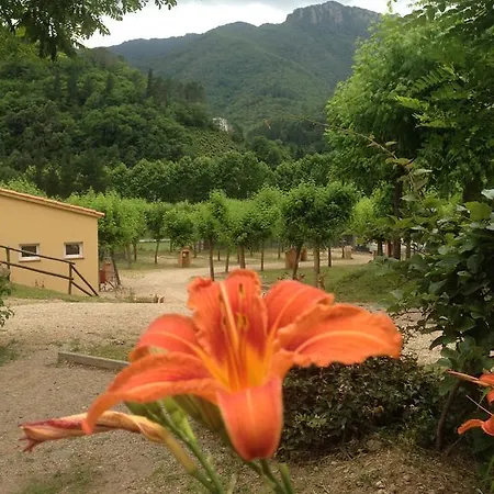 База отдыха Camping Guilleries Osor